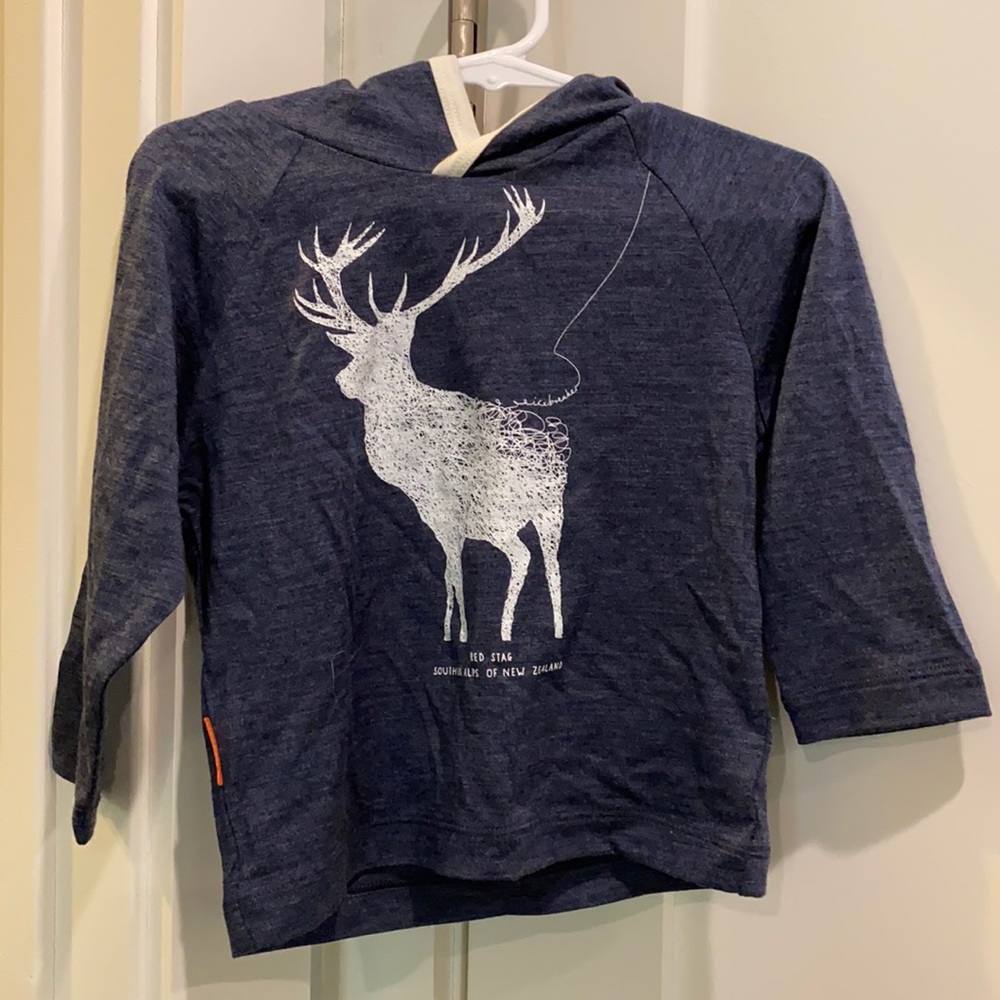 Icebreaker boys hoody long sleeve shirt